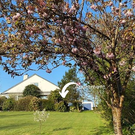 Burkedale House&Cottage Corofin  Esterno foto