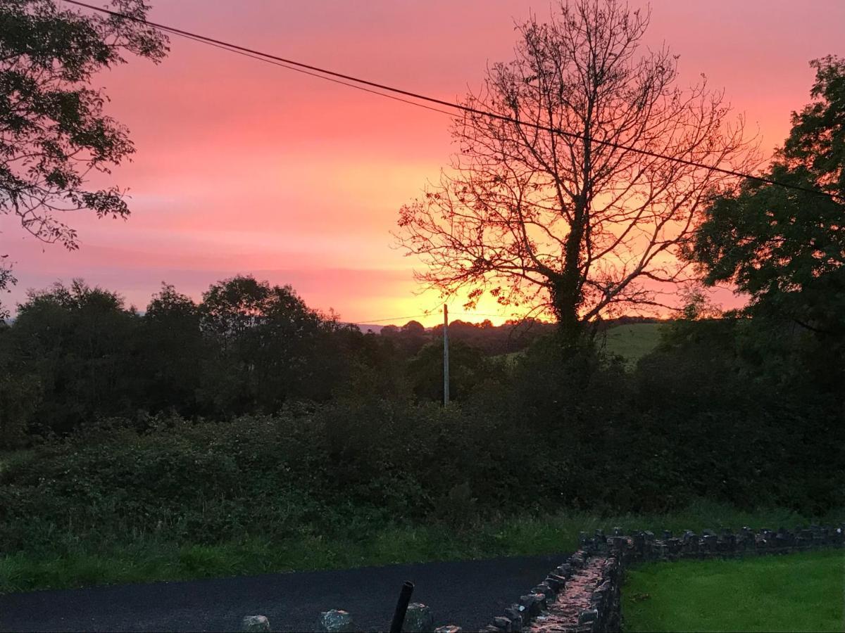 Burkedale House&Cottage Corofin  Esterno foto