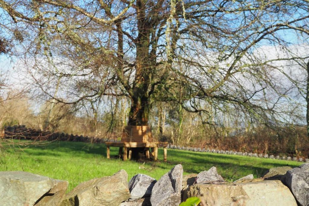 Burkedale House&Cottage Corofin  Esterno foto