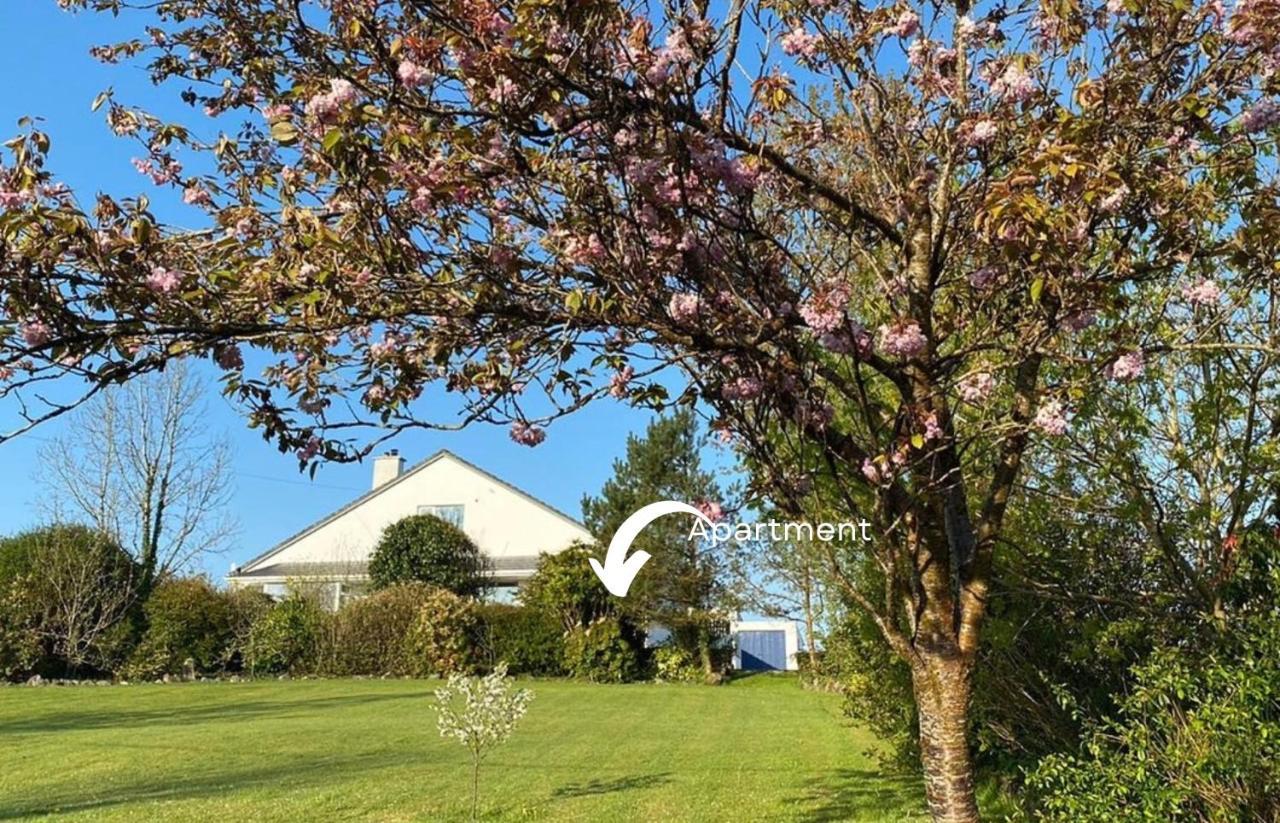 Burkedale House&Cottage Corofin  Esterno foto